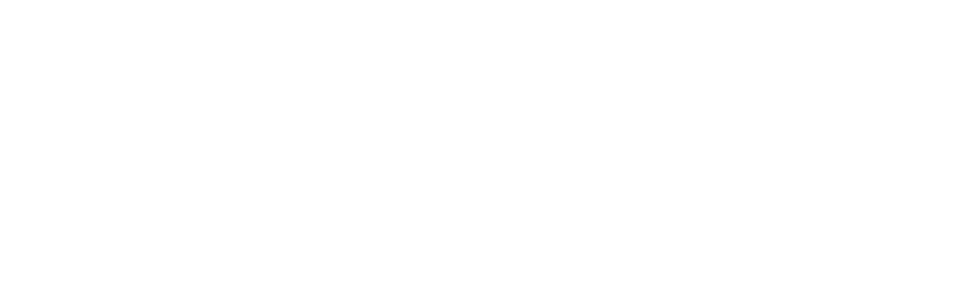 شعار الفريق